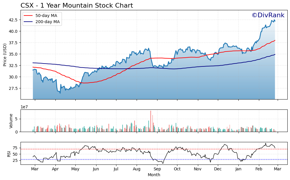 CSX 1 Year Mountain Chart